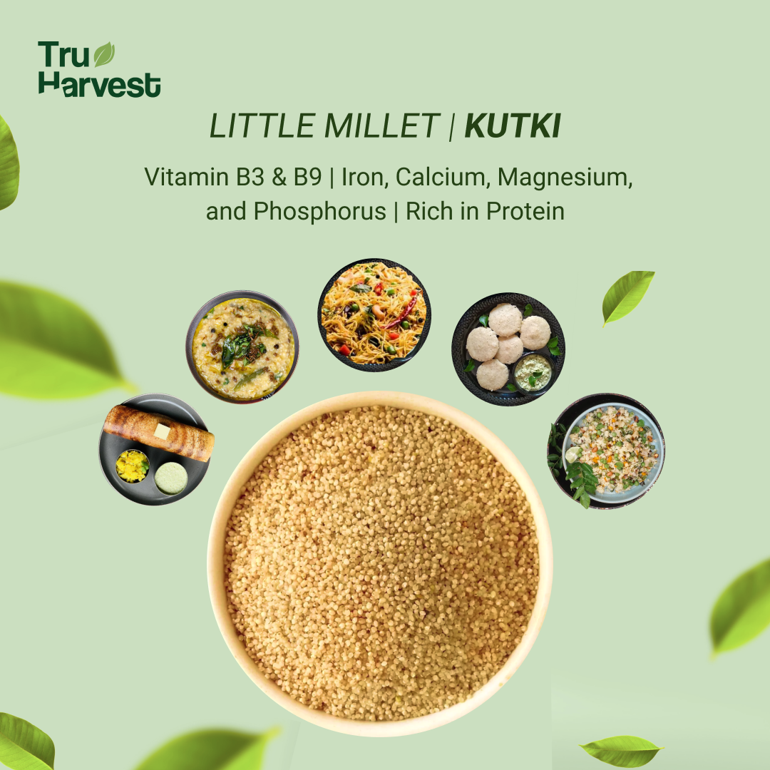 Little Millet | कुटकी