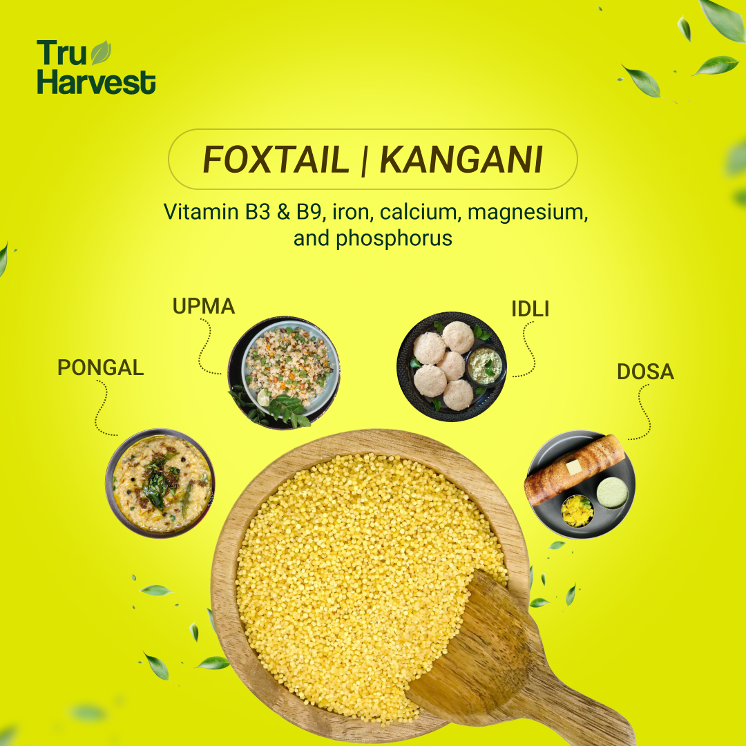 Foxtail Millet | कंगनी