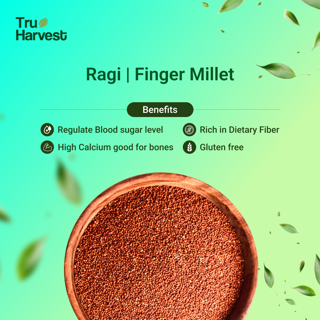 Ragi/ Finger Millet | नाचनी